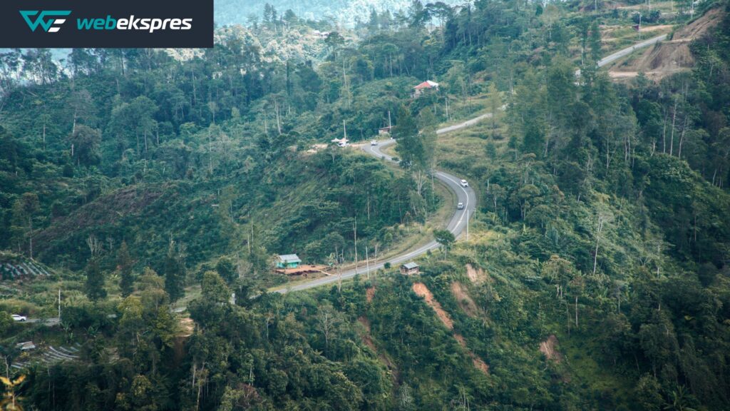 Blogwalking Adalah: “Jalan-jalan” Seru yang Bikin Blogmu Makin Terkenal